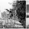 hochzeit_20120728_0724